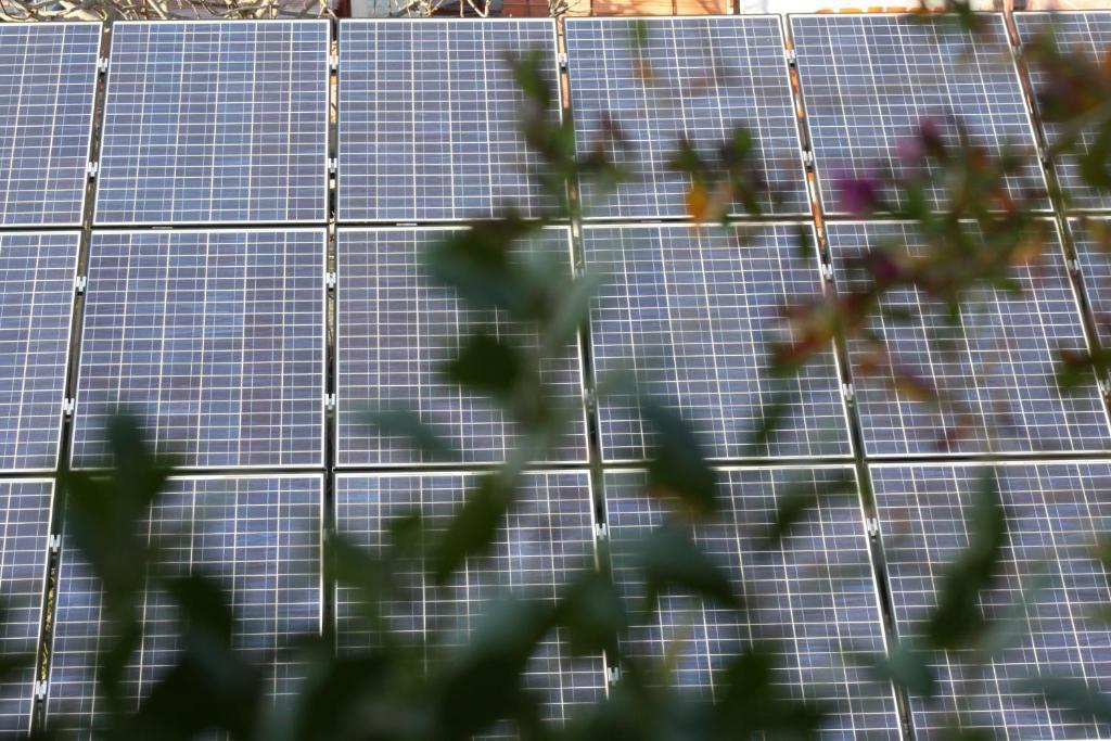 Ecohotel Roma Eksteriør bilde