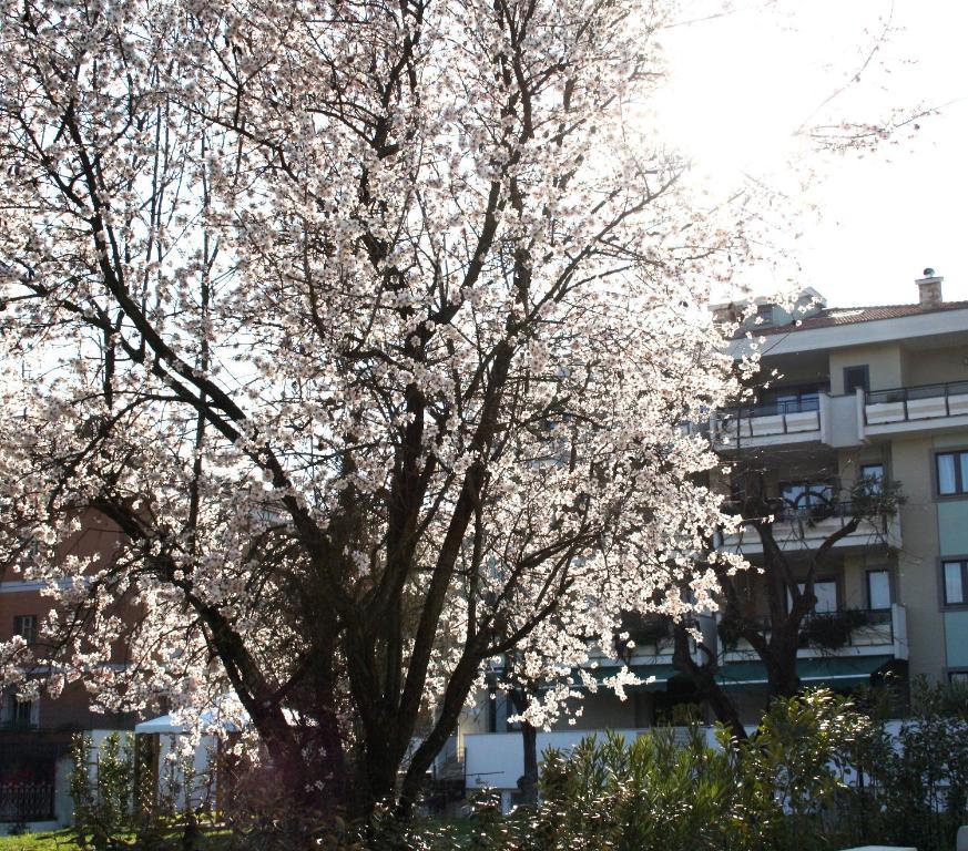 Ecohotel Roma Eksteriør bilde